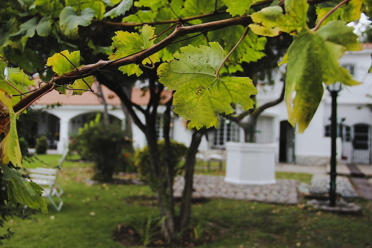 Chiara Lodge Chacras de Coria Exterior photo